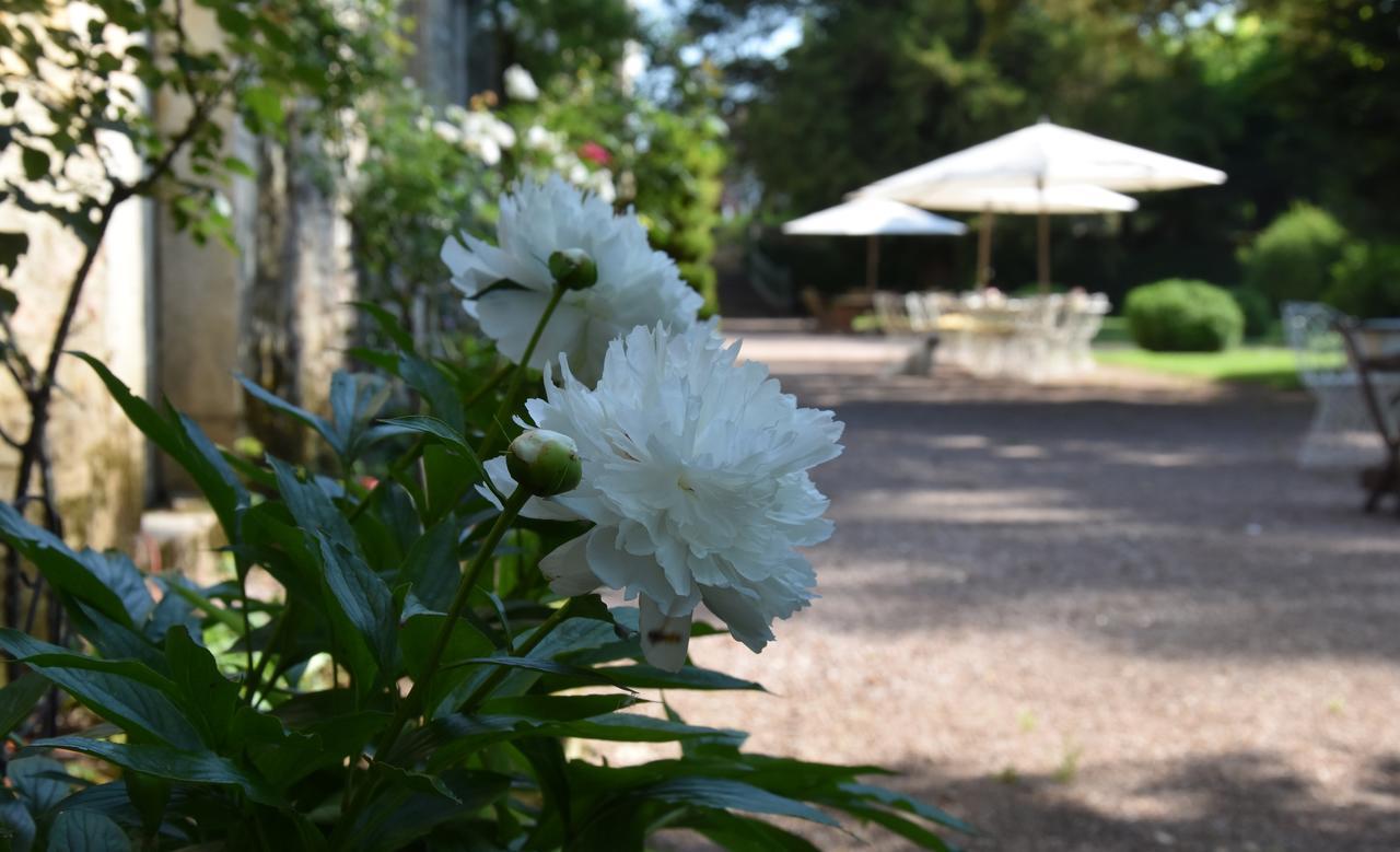 Cote Park Bed & Breakfast Givry  Ngoại thất bức ảnh